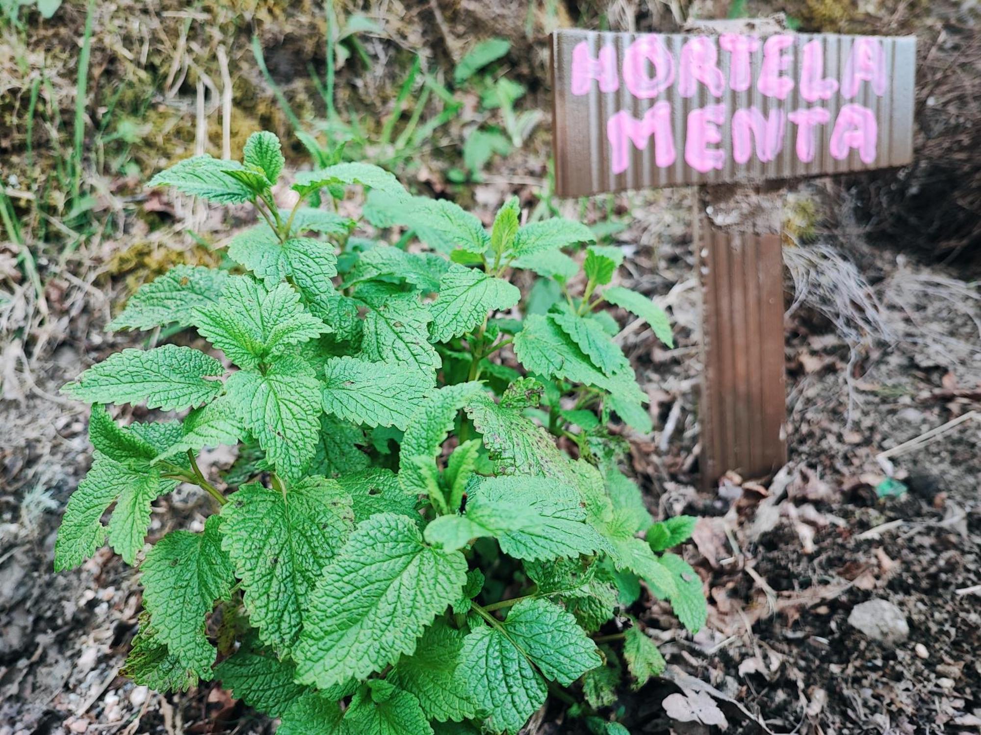 Moinhos Do Poco Verde - Nova Gestao Castro Laboreiro Kültér fotó